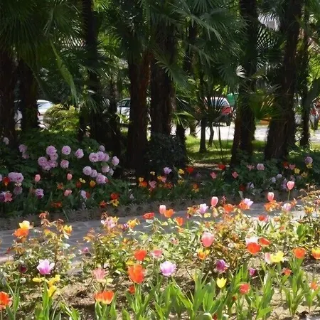 Hotel Terme Piave Abano Terme