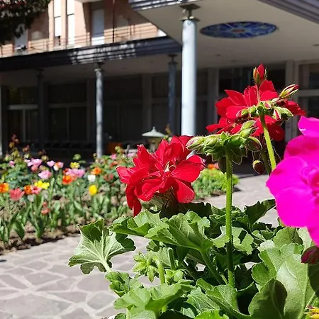 Terme Piave 3*